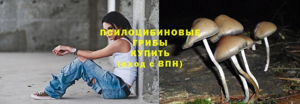 a pvp Алзамай