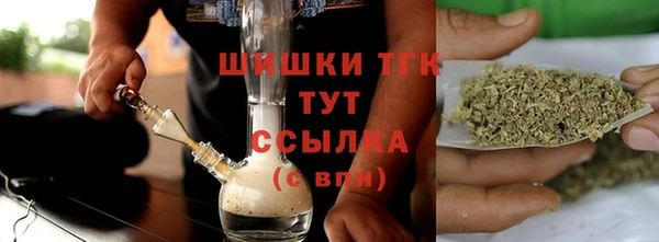 мдпв Осташков