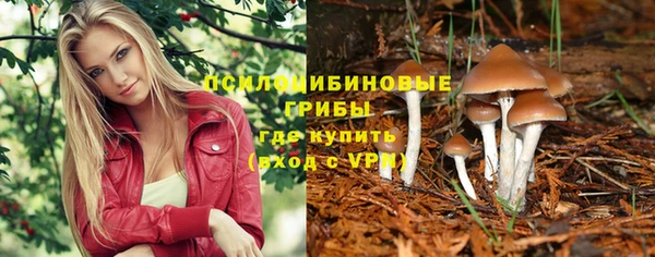 прущий лед Алексеевка