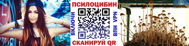 Галлюциногенные грибы прущие грибы даркнет наркотические препараты Красноярск